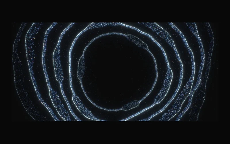 Vorschau: Ring Field
